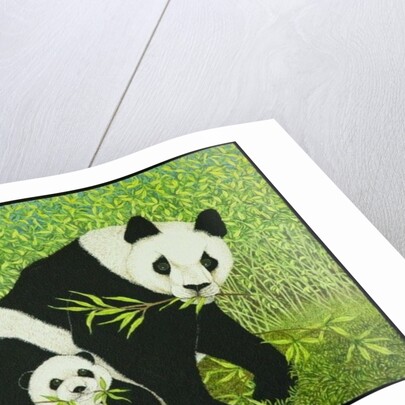 The good times by Pat Scott