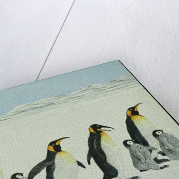 The learning curve by Pat Scott