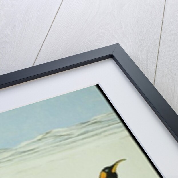 The learning curve by Pat Scott