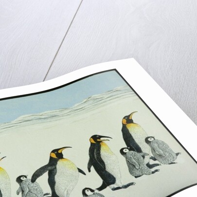 The learning curve by Pat Scott