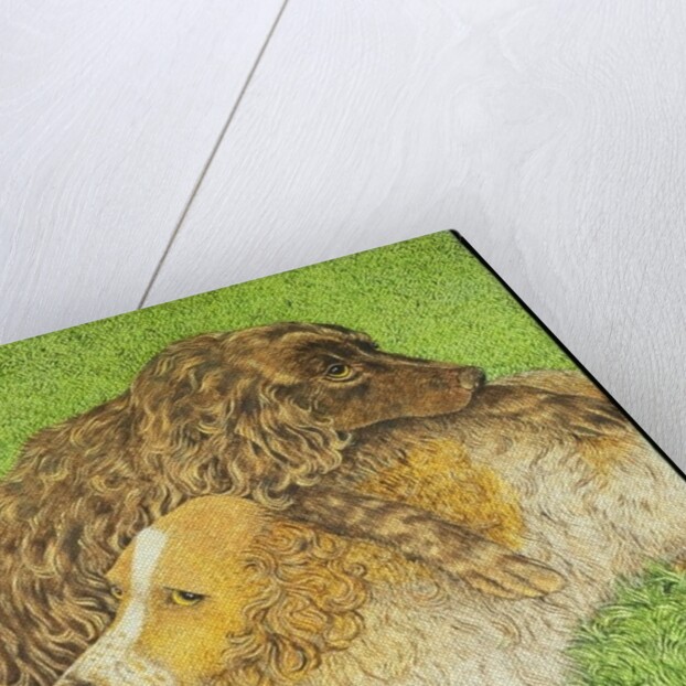 Possession by Pat Scott