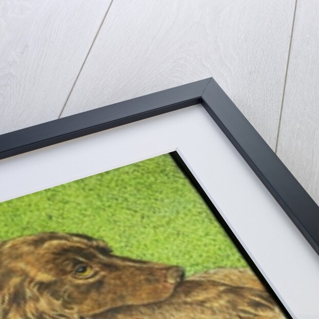 Possession by Pat Scott