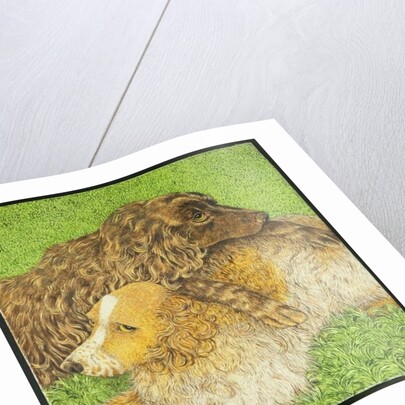 Possession by Pat Scott