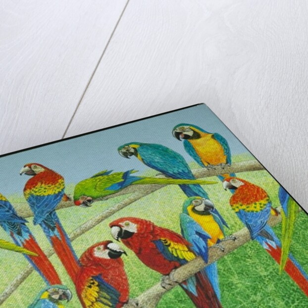 Spreading the news by Pat Scott