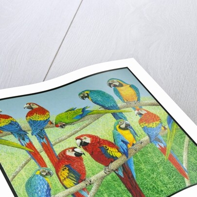 Spreading the news by Pat Scott