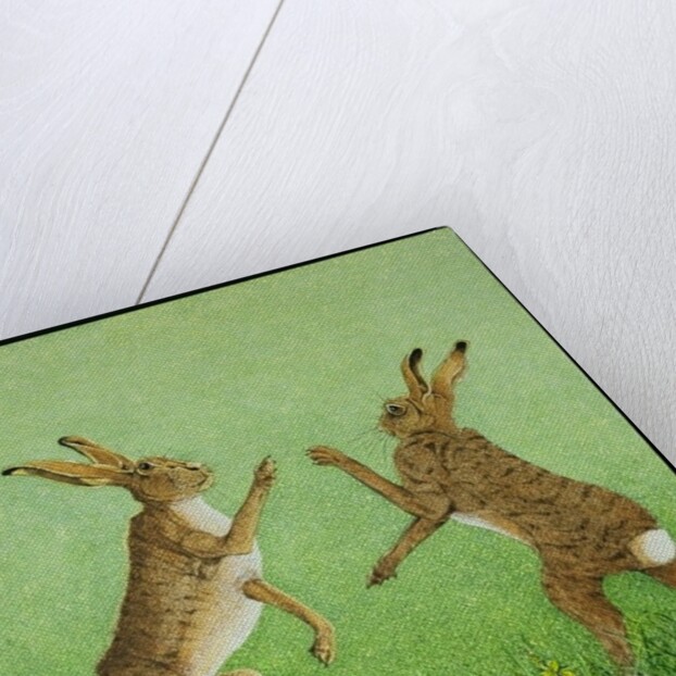 Boxing clever by Pat Scott