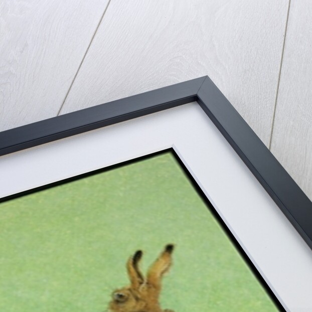 Boxing clever by Pat Scott