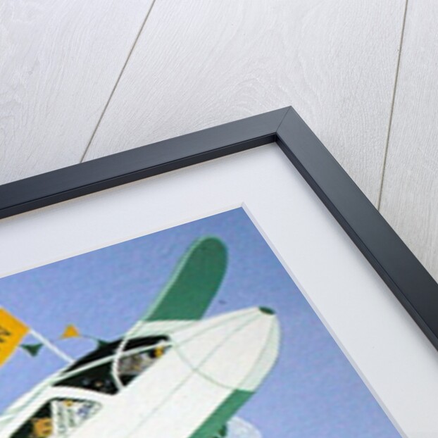 Cat Air Show by Pat Scott