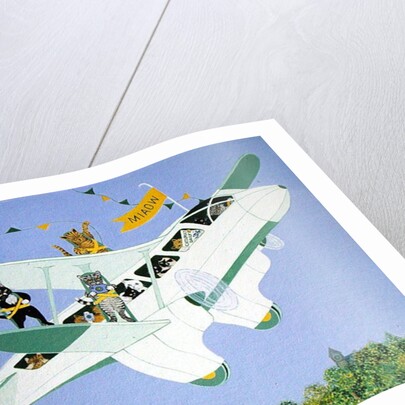 Cat Air Show by Pat Scott