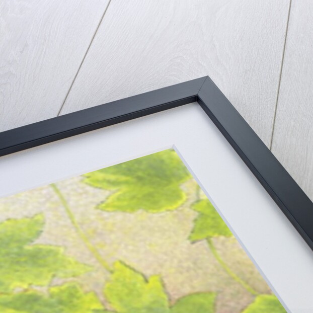 Watching by Pat Scott