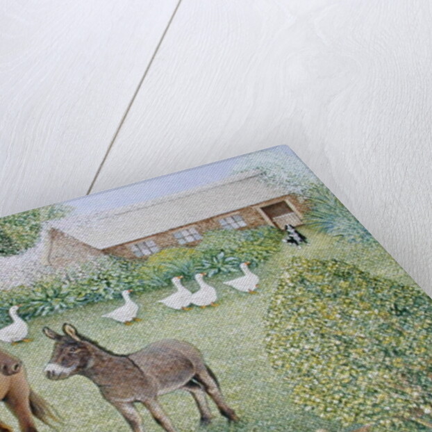 Companions by Pat Scott