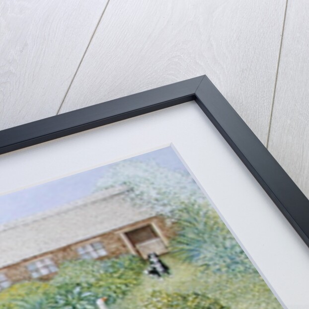 Companions by Pat Scott