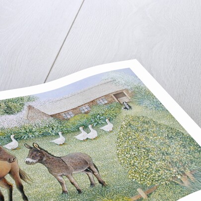 Companions by Pat Scott