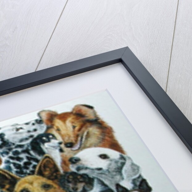 Dog Friends by Pat Scott