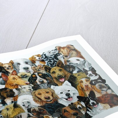 Dog Friends by Pat Scott