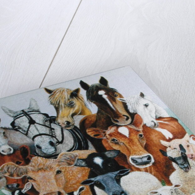 Animal Allsorts by Pat Scott