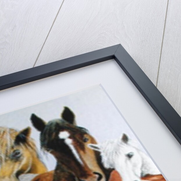 Animal Allsorts by Pat Scott