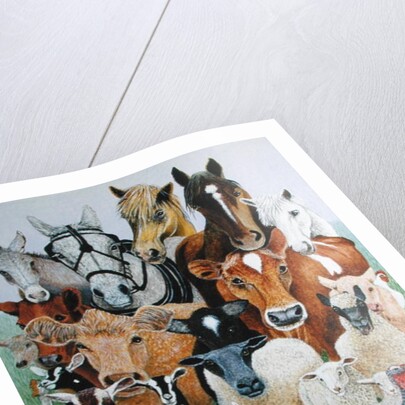 Animal Allsorts by Pat Scott