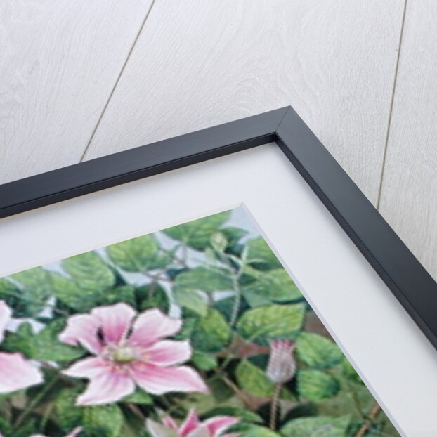 Nesting in Clematis by Pat Scott