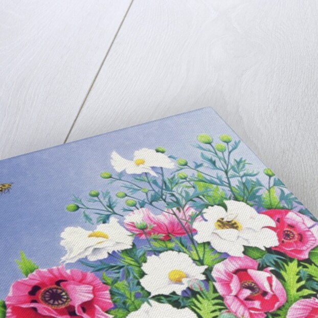 Honey Bee, Honey Bee by Pat Scott