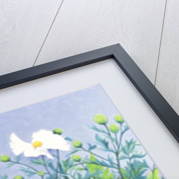 Honey Bee, Honey Bee by Pat Scott