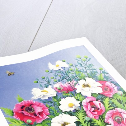 Honey Bee, Honey Bee by Pat Scott