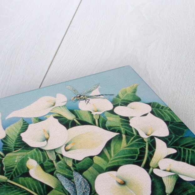 Dragon Flies by Pat Scott