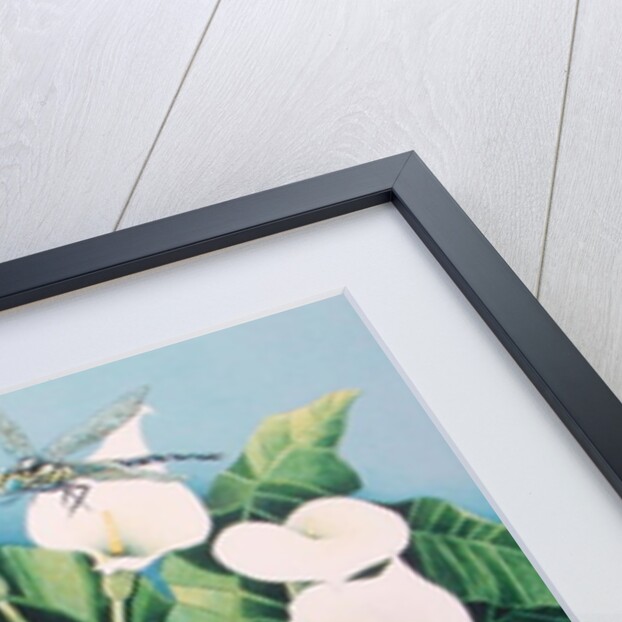 Dragon Flies by Pat Scott