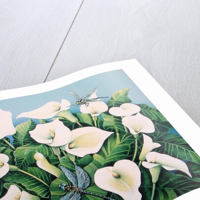 Dragon Flies by Pat Scott