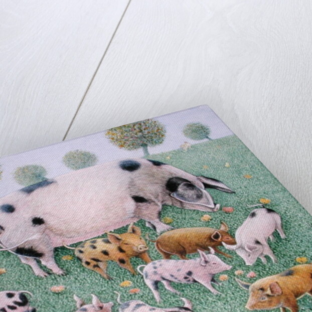 The Apple Feast by Pat Scott