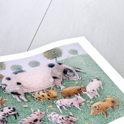 The Apple Feast by Pat Scott