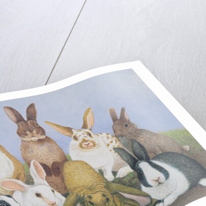 We are All Ears by Pat Scott