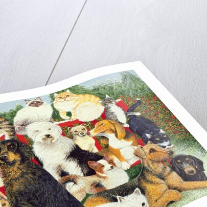 Christmas Peace by Pat Scott