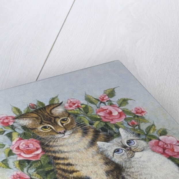 Attraction by Pat Scott