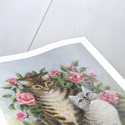 Attraction by Pat Scott