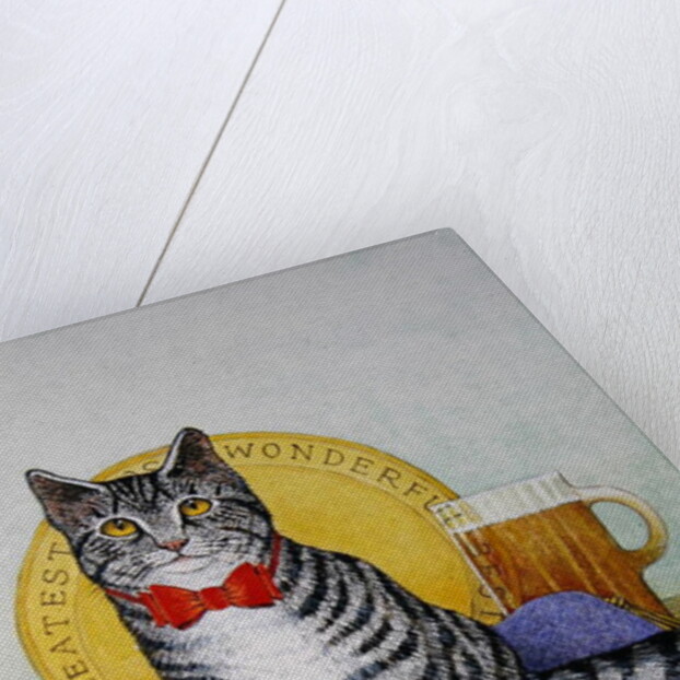 Mr Wonderful by Pat Scott