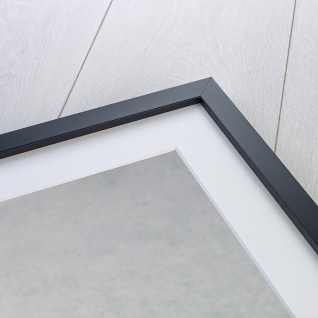 Mr Wonderful by Pat Scott