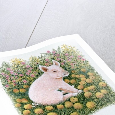 One More Apple by Pat Scott