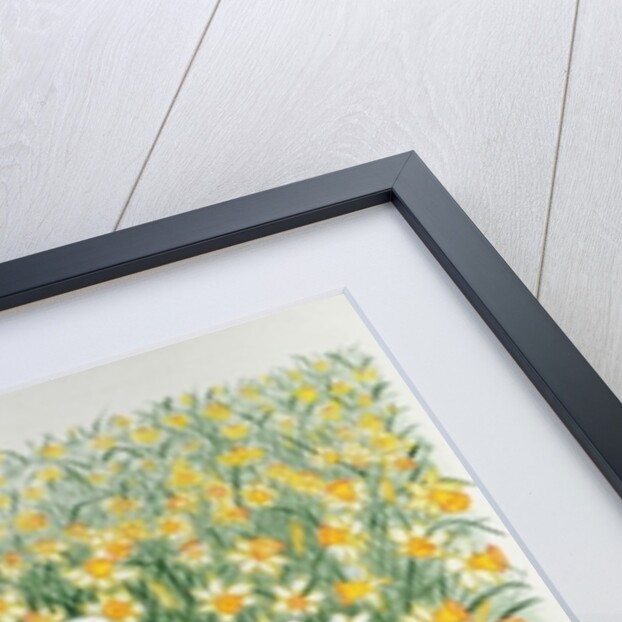 A Spring in the Step by Pat Scott