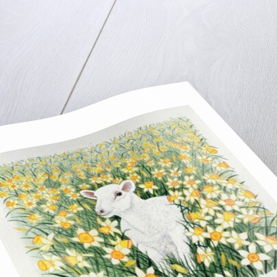 A Spring in the Step by Pat Scott