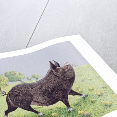 Feeling Great by Pat Scott