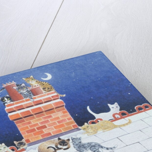 Midnight Madness by Pat Scott