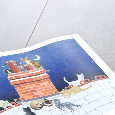 Midnight Madness by Pat Scott