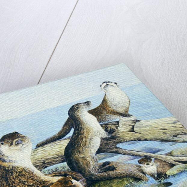 Playtime by Pat Scott