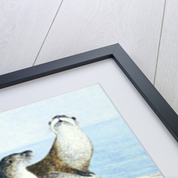 Playtime by Pat Scott