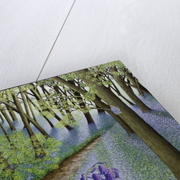 A Fresh Start, 2011 by Pat Scott