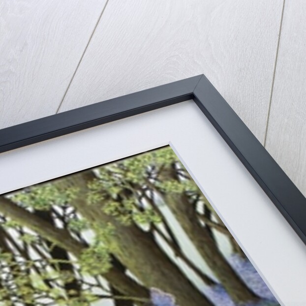 A Fresh Start, 2011 by Pat Scott