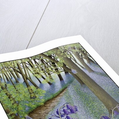 A Fresh Start, 2011 by Pat Scott