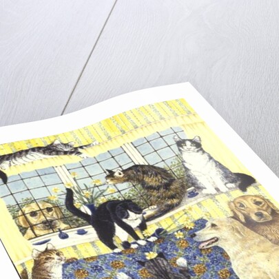 Spring Fever by Pat Scott