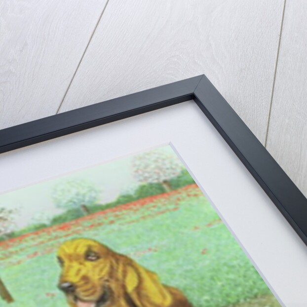 Dog Watch by Pat Scott